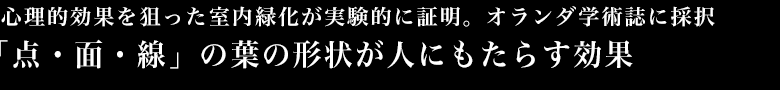 心理的効果を狙った室内緑化が実験的に証明。オランダ学術誌に採択「点・面・線」の葉の形状が人にもたらす効果