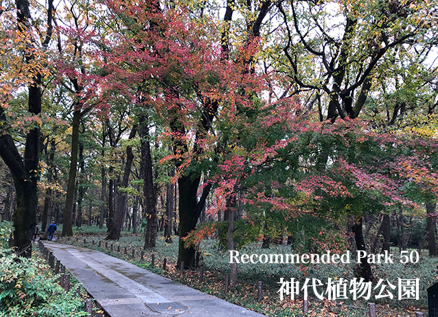 Recommend Park 50 神代植物公園