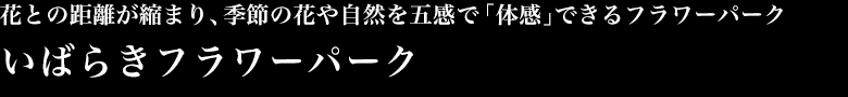 花との距離が縮まり、季節の花や自然を五感で「体感」できるフラワーパーク