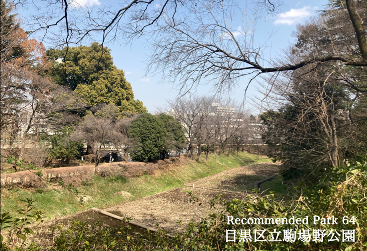 Recommend Park 64 目黒区立駒場野公園