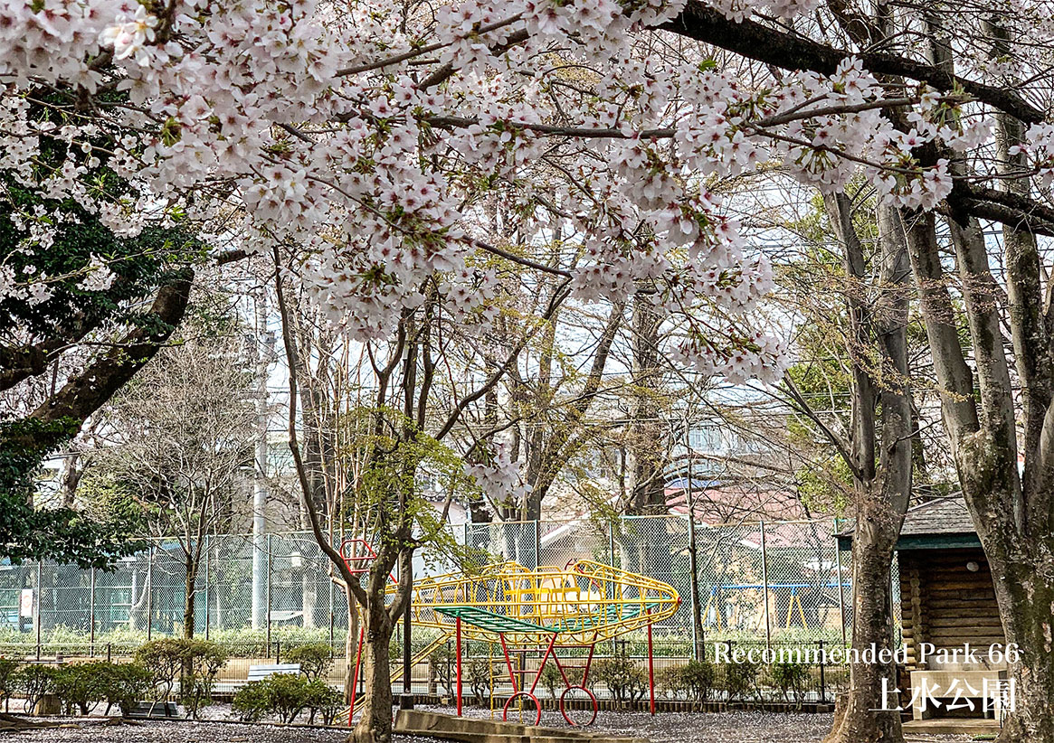 Recommend Park 64 目黒区立駒場野公園