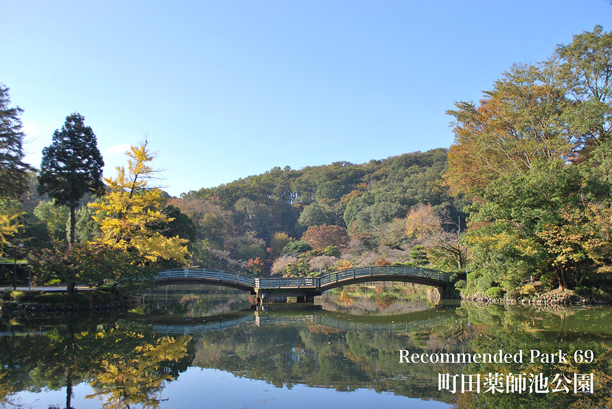 Recommend Park 69 町田薬師池公園