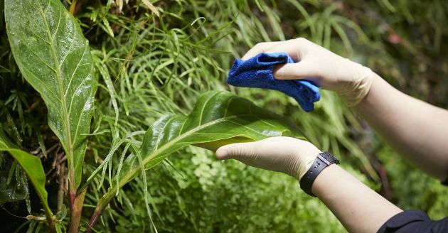 植栽メンテナンス イメージ写真