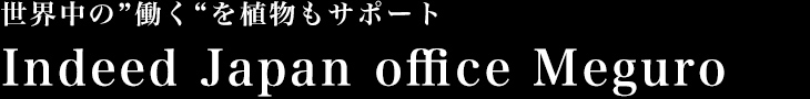 世界中の“はたらく”を植物もサポート Indeed Japan Office Meguro