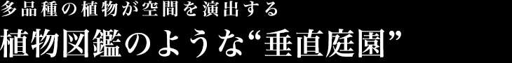 多品種の植物が空間を演出する 植物図鑑のような“垂直庭園”