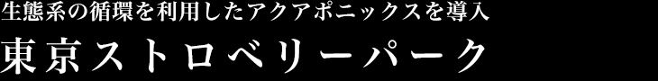 生態系の循環を利用したアクアポニックスを導入 東京ストロベリーパーク