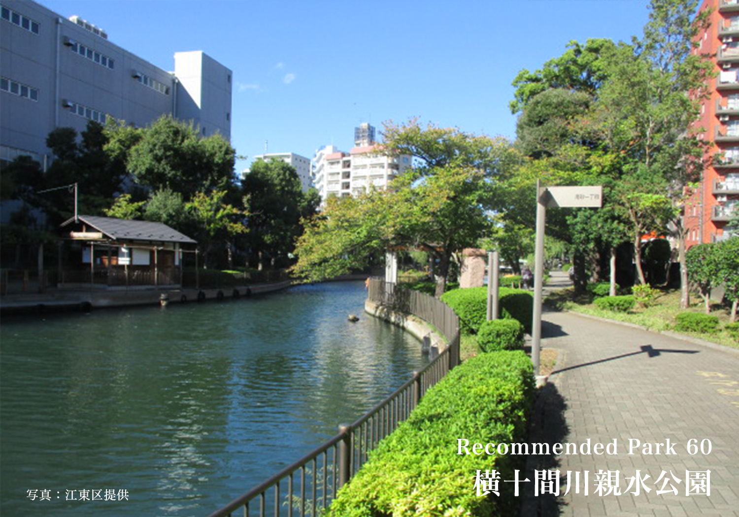 Recommend Park 60 横十間川親水公園