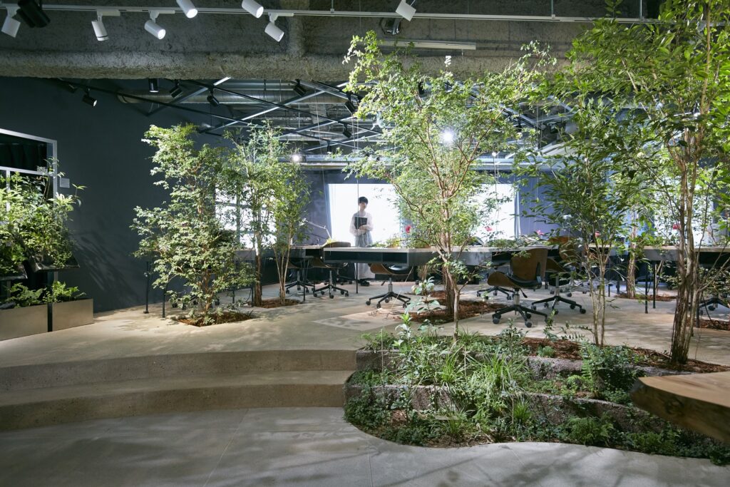 土と植栽の島を囲むように執務デスクが並ぶparkERsのオフィス。植物が育つ環境を計算して配置されている