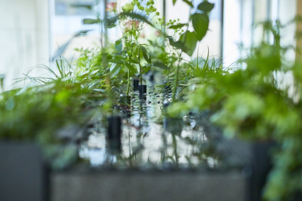 水面に映り込むほど密に草花が育つ植栽のディテール(ザ・パークハウス三田ガーデン)