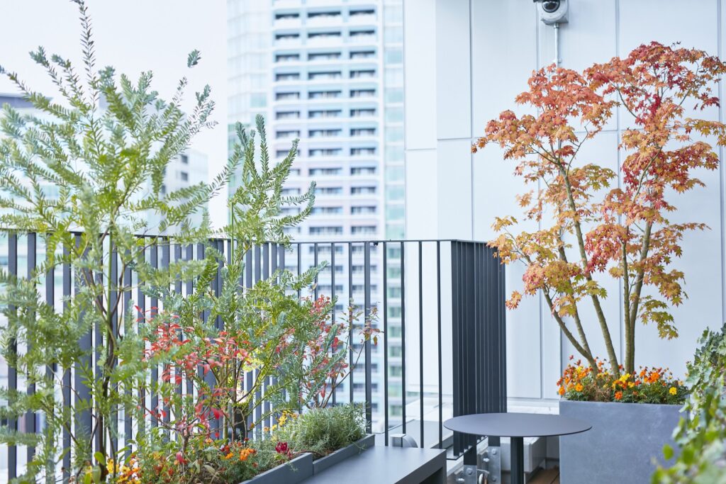 紅葉した樹木と季節の草花が植わる屋上。背景にビルが建ち並ぶ